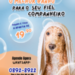 Eu vou fazer banner de divulgação para a sua loja