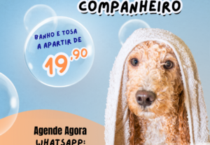 Eu vou fazer banner de divulgação para a sua loja