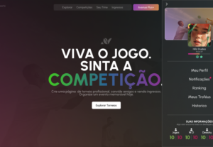 Eu vou fazer qualquer tipo de programação visual para seu si...