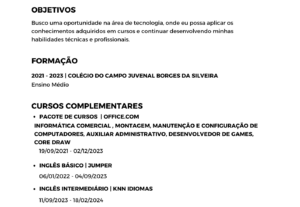 Eu vou Fazer seu currículo profissional