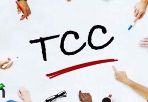 Eu vou te ajudar a revisar e formatar o seu Tcc