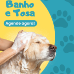 Eu vou dar estilo ao seu Instagram com posts criativos
