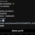 Eu vou Fazer uma Bio personalizada pro seu Insta.