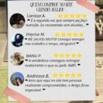 Eu vou escrever seu artigo ou redação