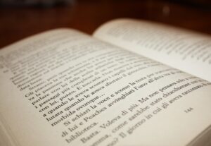 Eu vou traduzir do Inglês para Português, 320 palavras.