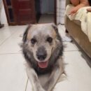 Foto do perfil do trabalhador freelancer