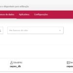 Eu vou Desenvolver seu software usando IA