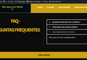 Eu vou fazer suas campanhas de trafego pago e criar seus sit...