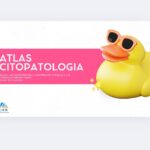 Eu vou criar 20 slides personalizados para universitário