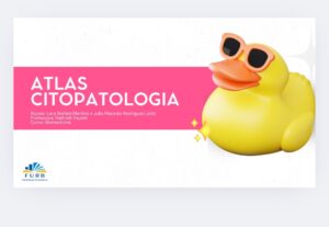 Eu vou criar 20 slides personalizados para universitário