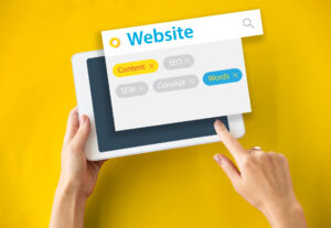 Eu vou fazer  um site profissional para você