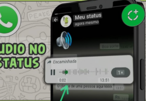 Eu vou gravar o seu áudio