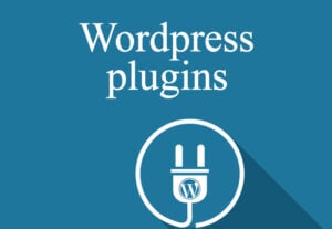 Eu vou fazer  um plugin WordPress personalizado