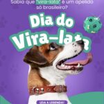 Eu vou fazer artes e impressos personalizados