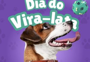 Eu vou fazer artes e impressos personalizados