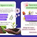 Eu vou fazer um post carrossel para o seu Instagram