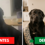 Eu vou Restaurar Suas Fotos Antigas / de Baixa Qualidade