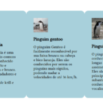 Eu vou Criar site profissional e responsivo