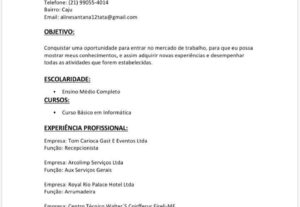 Eu vou fazer seu currículo Profissional e Atraente em 24h