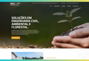 Eu vou desenvolver um Site Profissional para o seu negocio