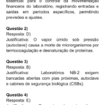Eu vou Escrever livros para você.