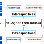 Eu vou criar material didático de Ciências e Biologia