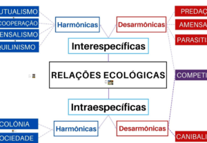 Eu vou criar material didático de Ciências e Biologia