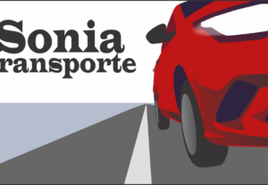Eu vou fazer um cartão de visita/logo para você