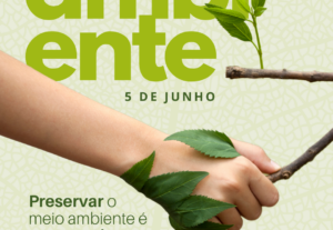 Eu vou Fazer seus posts para a sua marca ter presença