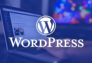 Eu vou Criar um Site Profissional em 24horas para você