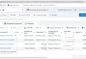Eu vou Gerenciar o Tráfego Pago do seu negócio