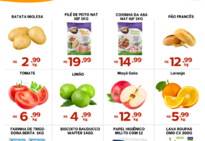 Eu vou criar encarte de ofertas para o seu mercado. + bônus
