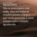 Eu vou Fazer o seu currículo de forma objetiva e chamativa
