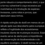 Eu vou fazer a adaptação perfeita de conteúdos
