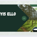 Eu vou  criar sua apresentação de slide