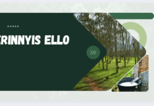 Eu vou  criar sua apresentação de slide