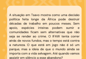 Eu vou fazer o marketing da sua empresa deslanchar
