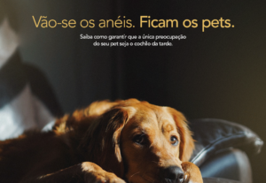 Eu vou fazer dois posts para o instagram.