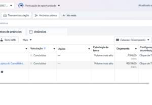 Eu vou criar e gerenciar anúncios no Meta Ads