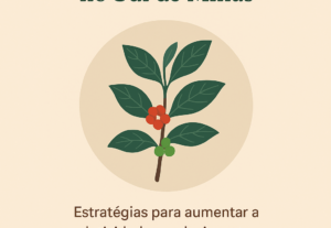 Eu vou criar logos, editar vídeos e artes incríveis