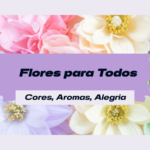 Eu vou  fazer Designer Gráfico Profissional —