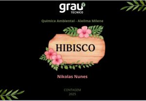 Eu vou fazer Designer Gráfico: Banners Criativos e Personali...