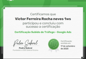 Eu vou fazer a gestão de tráfego para o seu negócio