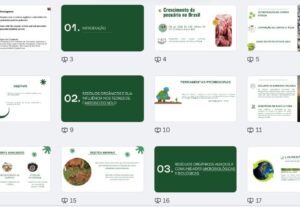 Eu vou fazer o seu slide acadêmico