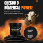 Eu vou fazer seu conteúdo para instagram