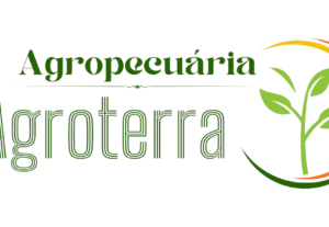 Eu vou criar sua logo profissional