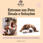 Eu vou criar 5 posts prontos para o seu instagram em 24h