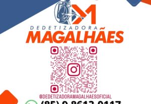 Eu vou fazer uma logo de qualidade