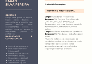 Eu vou Fazer um currículo profissional para Você