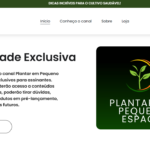 Eu vou fazer o seu site profissional